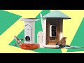 Smart Bird Feeders: Tested and Reviewed for 2025