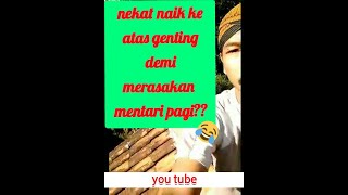 Berjemur sambil menikmati pemandangan dari atap rumah