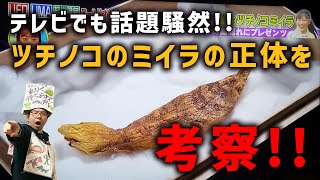 ツチノコさま 専用ページ FIG]ウルトラディテールフィギュア No.157 UDF「藤子・F・不二雄作品