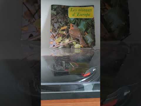 les oiseaux de