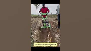 Máy xới đất, cát cỏ 4 chức năng động cơ dầu. L/H Zalo: 0948.456.680 #beach #automobile