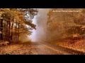 ERNESTO CORTAZAR  - Ay amor ya no me quieras tanto