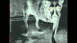 Alice in chains - Frogs (1995)