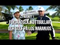 Flygrdsla kttbullar  golf golftugget i marbella 1