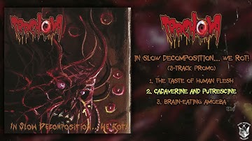 Trachoma - In Slow Decomposition...We Rot [3-track promo EP] (2025 - Goregrind)