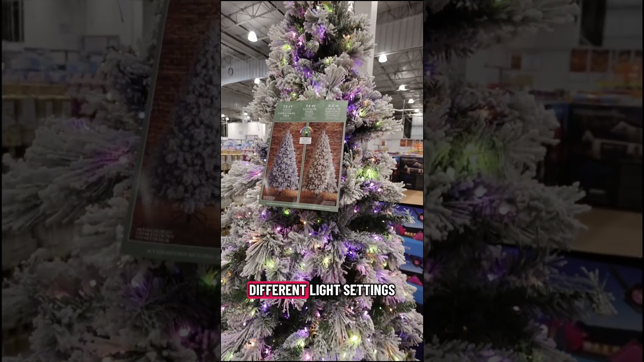 This Flocked Christmas Tree at Costco is Absolutely Beautiful 🎄