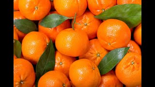 Tangerine - Back In My Arms