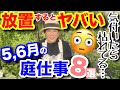 【宿根草/一年草】一気に成長する5、6月にやっておくべき庭仕事🤗/ いつの間にか消えてる…を防ぐ重要作業は1分で充分‼️潔く抜く?切る?残す?宿根草を長年楽しむための秘訣教えます😳【ガーデニング】