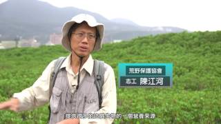 挖子尾自然保留區