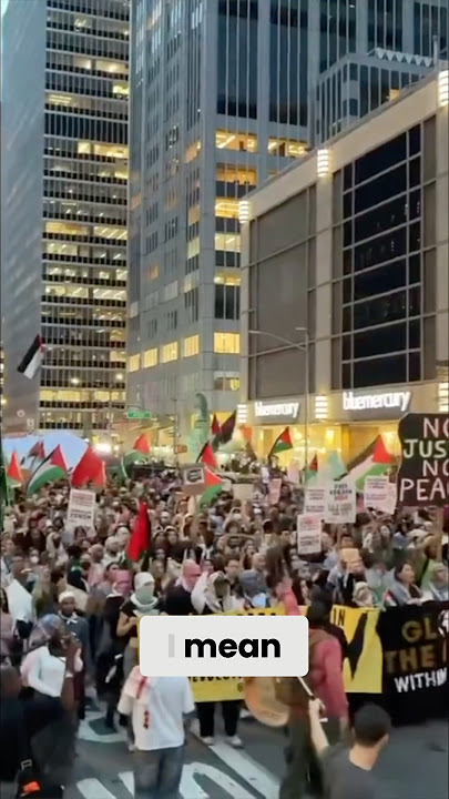 I’m Worried About Pro-Palestine Activists… 🤯