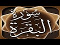 سورة البقرة كاملة عبدالوالي الاركاني بجودة عالية