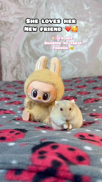 Miss. Jelly Tot does a LABUBU Unboxing! ❤️🥰 #shorts #hamsters #pets #pet
