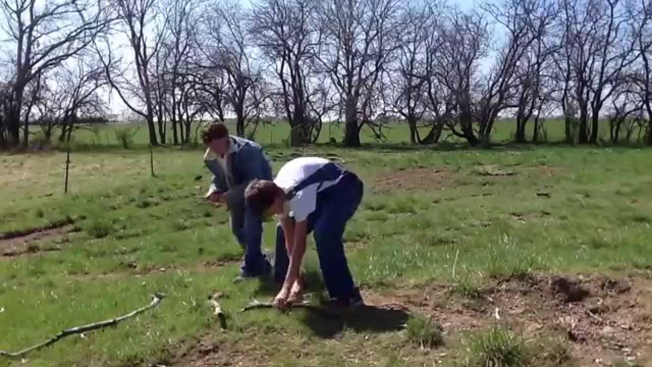 Traveling through the 19th Century