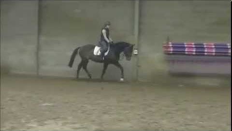 Sheraton x Ahorn x Joost ~ Ridden video