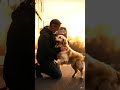 “The Dog Waited 5 Years 😢”“He Came Back After 5 Years… ❤️”“This Dog Never Gave Up!. #shelterdog