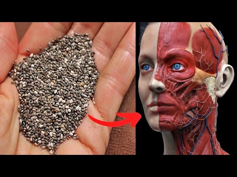 O que acontece quando você começa a comer sementes de chia todos os dias