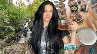 :    | Life update,    ,  