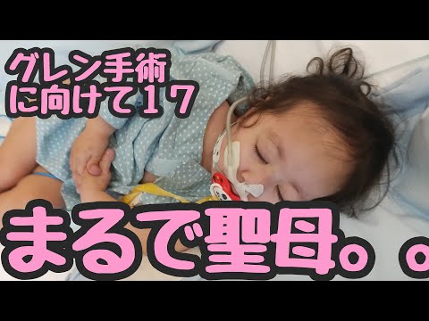 【まるで聖母】グレン手術に向けて１７ (おしりかぶれはマシになった・・・)