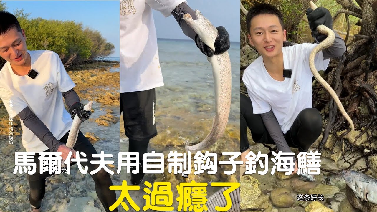 馬爾代夫用自製的鉤子釣海鱔,太過癮了#viralvideo #捕魚 - YouTube