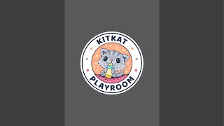 Kitkat Playroom: Wyatt is Hospitalized