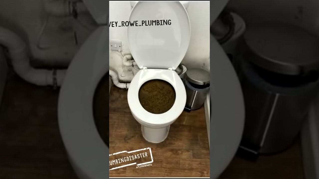 EPIC Toilet plumbing disasters