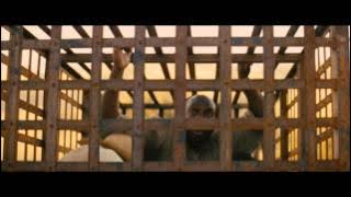 Django Unchained - QT Explose (Scène Culte)