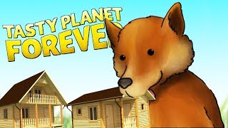 СОБАКА ДИНГО УНИЧТОЖИЛА АВСТРАЛИЮ, ЭВОЛЮЦИЯ СОБАКИ | Tasty Planet Forever СОБАКА ДИНГО УНИЧТОЖИЛА АВСТРАЛИЮ, ЭВОЛЮЦИЯ СОБАКИ | Tasty Planet Forever