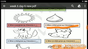 EVS   Grade   2   Dated 11 04 2020