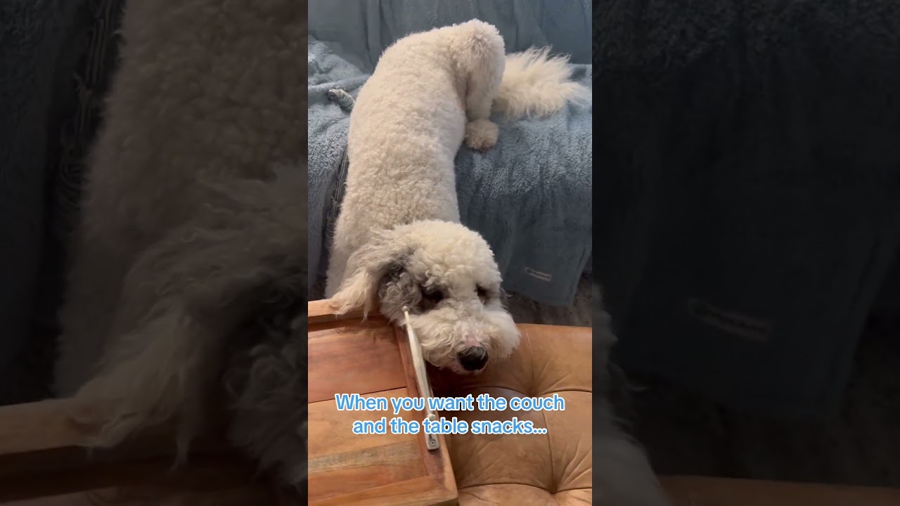 Falkor: Comfort is a mindset. 