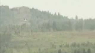 Algerian force T-90 Tank