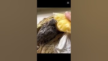 #القرآن الكريم #اكسبلور #تلاوة خاشعة #تلاوة خاشعة #الظروف 1# #2 #3 #4 #5 #6 7 #8 #9 0#duet