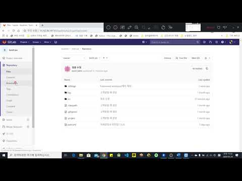 Mr Baek의 GitLab 관리 설명