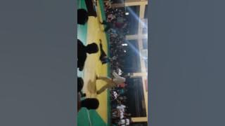 Pps kembang setaman fight 2016