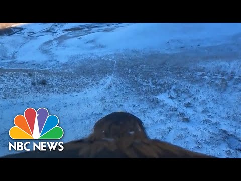 Eagle POV: Watch Winged Hunters Keep Kazakh Tradition Alive