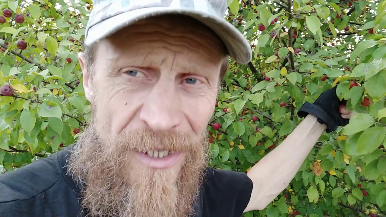 В лес , как в супермаркет. часть 2 - YouTube