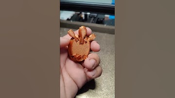 turtle 3d printed #3d #3dprinter #3dprint #3dprinting #creality3d #diy #