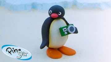 Pingu and the Camera 🐧 | Pingu - Official Channel | Cartoons For Kids
