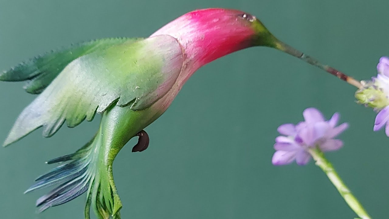 Live #10 Beija-flor em biscuit