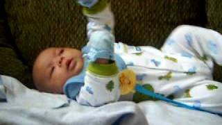 dominik 106/09