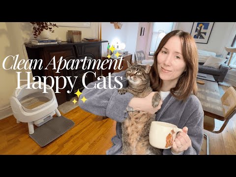 How To Keep Small Spaces Clean