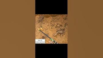 Ná bắn cá V2 lên hàng khủng