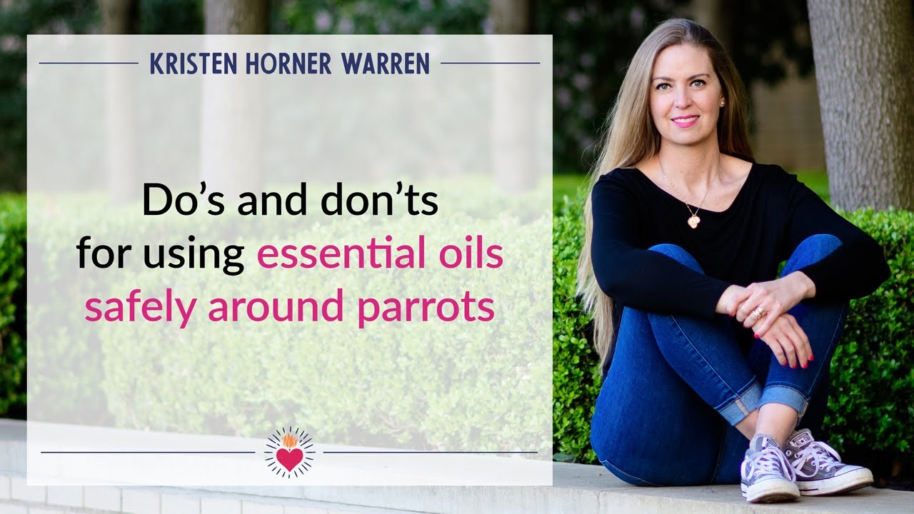 Essential oils for parrots