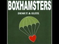 Boxhamsters - Mauser