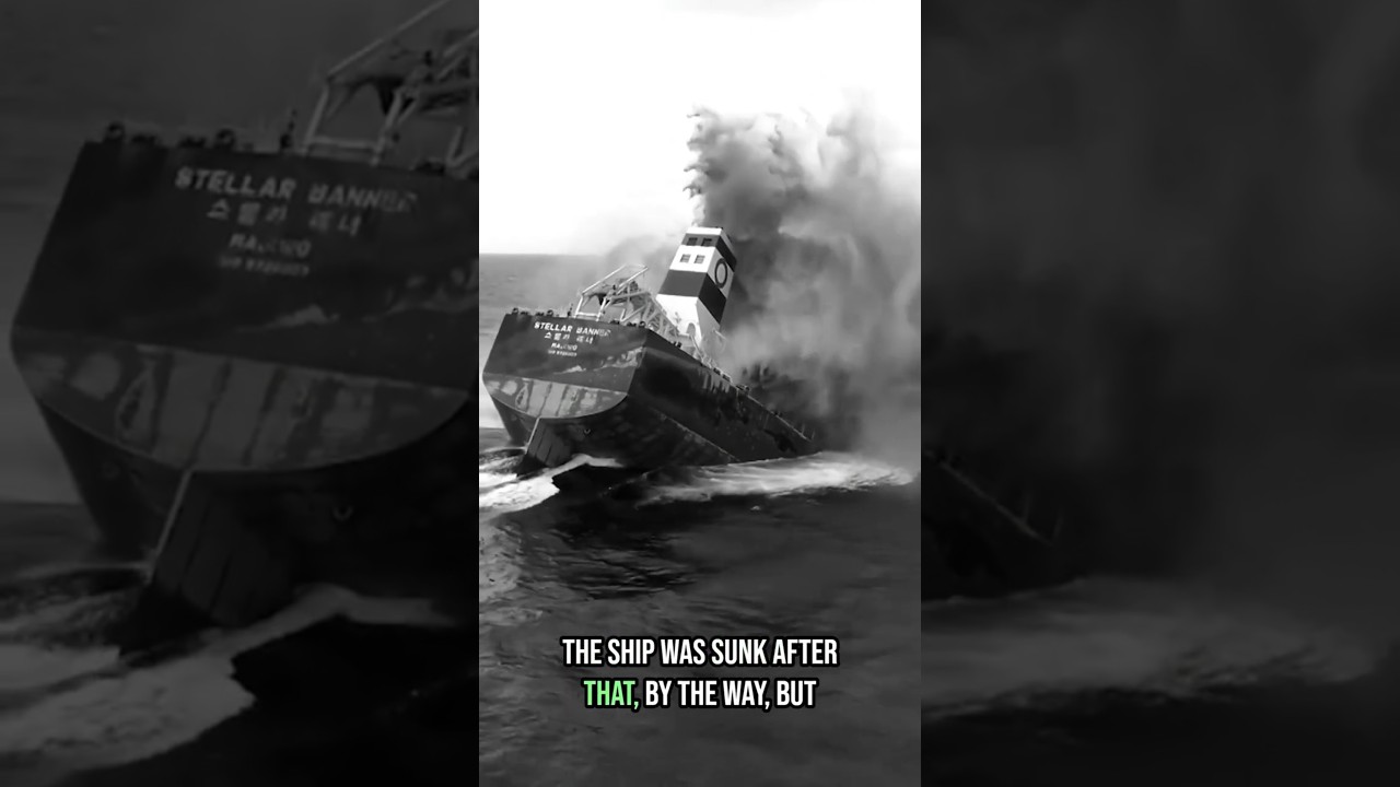 🙋🏻‍♂️ The Man Who Knows His Oceans! | Ocean Iron Fertilization | Liquid Trees Bits 