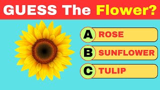 Can You Name All 57 Flowers in 3 Seconds?