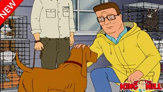 King of the Hill 2023❤Apres Hank Le Deluge❤Full Episodes 2023 NEW