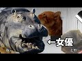 【女優編】ホモビデオ制作会社アルバイトの日常 #猫ミーム #猫マニ