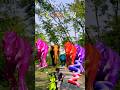 Big dinosaur chase T-rex chasingpart -1521#shorts #dinosaur#youtube#dinosaurs #superman#ddininner🐯🦣🦖