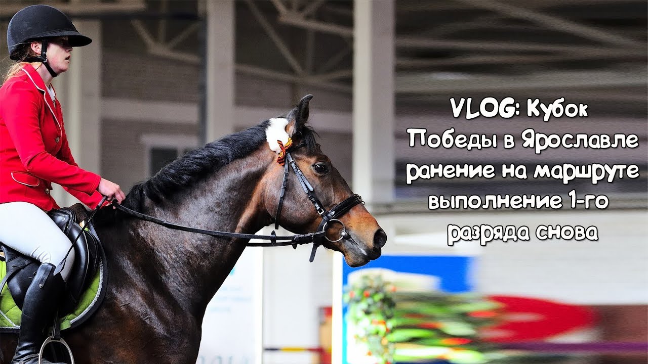 Конный Магазин В Ярославле