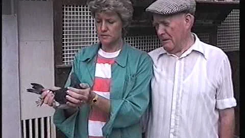 Video 97: Terry & Karen Haley of Watford: Premier ...